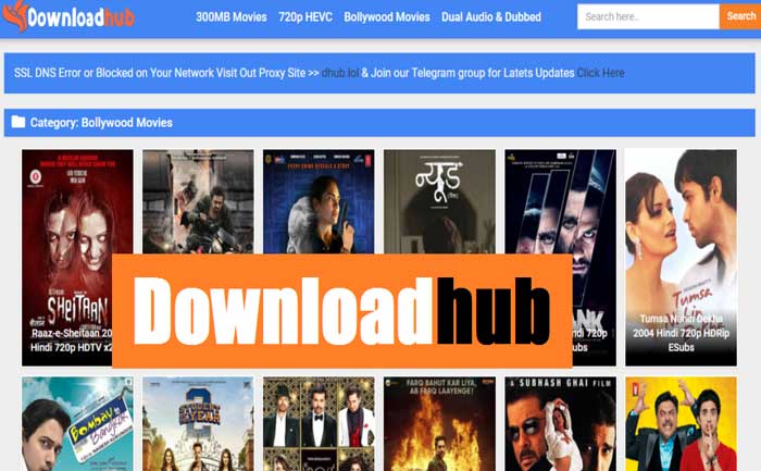 Downloadhub – Download 300MB Dual Audio Bollywood, Hindi, Punjabi Movies for unfastened.